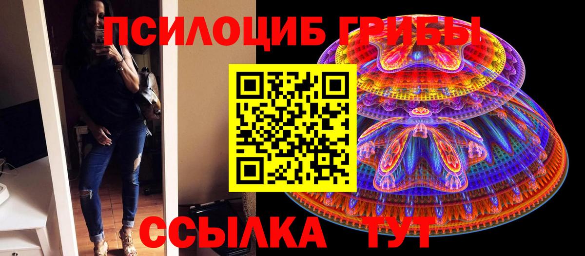 Псилоцибиновые грибы Psilocybe  Вход с VPN  Галлюциногенные грибы мицелий  Луга 