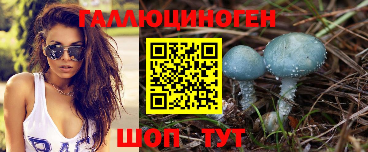 Псилоцибиновые грибы мухоморы Луга